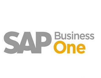 北京sap咨询公司 北京sap实施公司 首推达策信息高清图片 高清大图