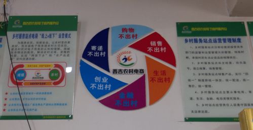 电子商务让西吉农副产品搭上互联网 快车