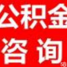 商务咨询服务
