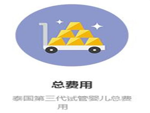 森艳精工出细活,泰国试管中介服务有保障