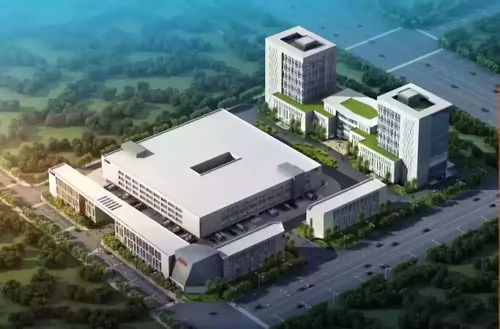 中小径竹厢板生产线可行性研究报告通过