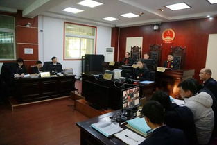 扫黑除恶 平利县院检察长出庭公诉涉恶案件